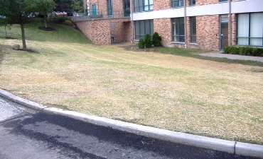 Gallery: Mercyhurst College